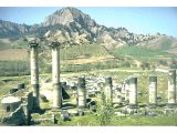 Sardis - Upper site - Temple of Artemis